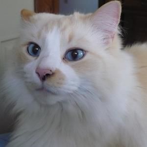 Meet your Posher, Ann